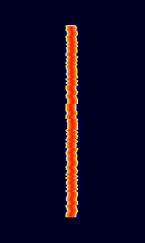 FT4 wsjtx.png