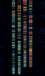 F03j.png