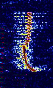 DriftnetBuoy11Dots.jpg