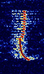 DriftnetBuoy11Dots.jpg