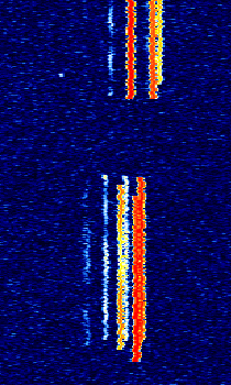 FT4 on 10m.png