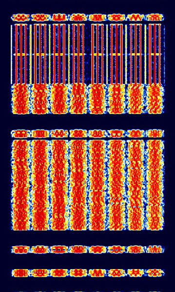 File:CLOVER-2500.jpg