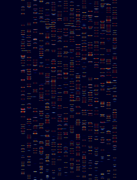 File:XPB large.png
