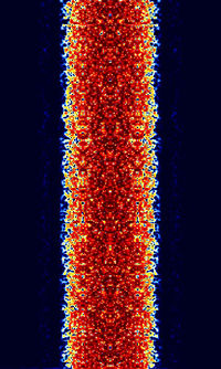 CHIP64.jpg