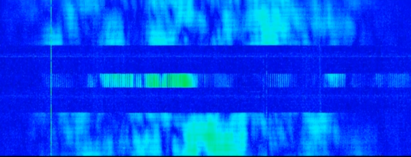 File:Sunflower Gap.png