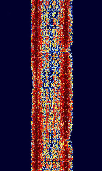 File:HNG FEC.jpg