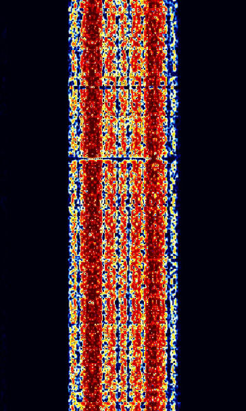 File:RUM-FEC.jpg