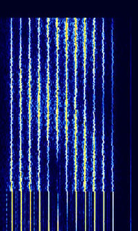 CIS-12 VAR.jpg