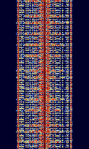 File:NMT.jpg
