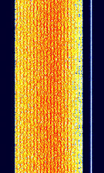 CIS-20.jpg