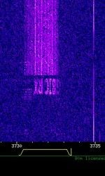 SSTV.JPG