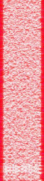 File:COFDMTVmode13wf.png