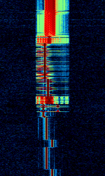 P07.png