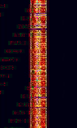 Datawell 2FSK.jpg