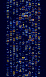 Unknown MFSK-11.png