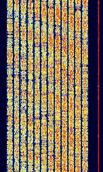 File:CIS-12.jpg