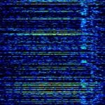 Sunflower thumbnail.jpg