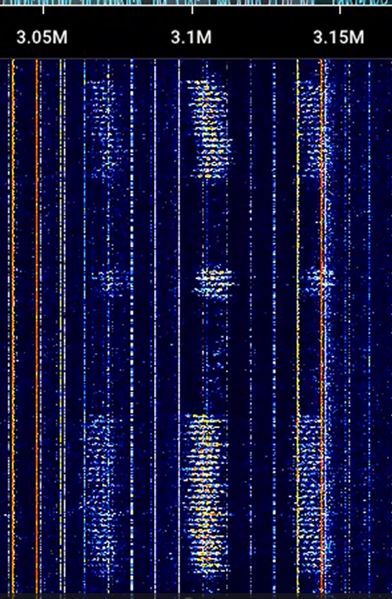 File:Screenshot 2025-03-02 154247.png