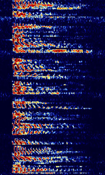 File:SSB Voice.jpg