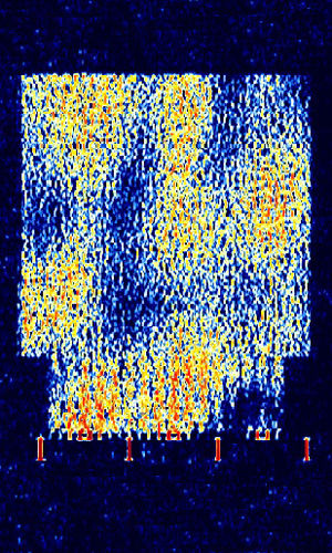 STANAG 4197 Signal Identification Wiki