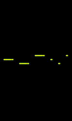 LR-12.png