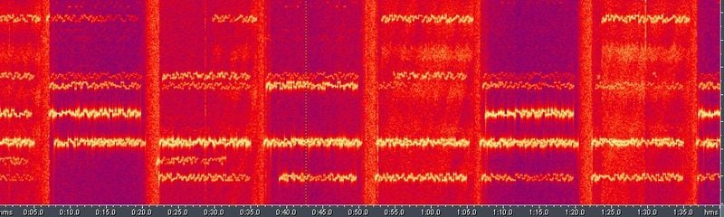 File:Spectrogram 7076Khz.jpg