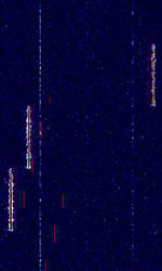3 SIGFOX.jpg