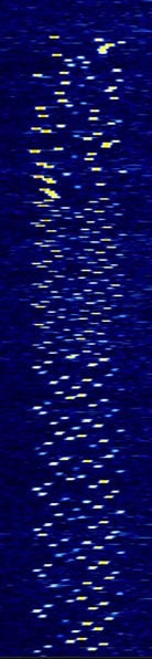 File:Unknown MFSK 12916kHz.jpg