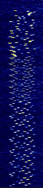 Unknown MFSK 12916kHz.jpg