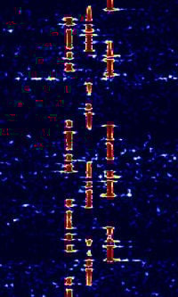 Hf markers.jpg