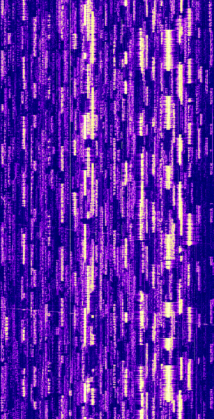 File:20m USB amateur voice.png