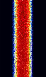 NXDN 6.25.jpg