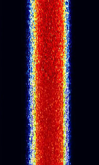 NXDN 6.25.jpg