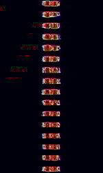 DUP ARQ.jpg