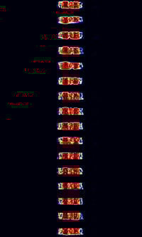 DUP ARQ.jpg