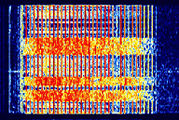 Audio spectrum image unk mdt taxio.jpg