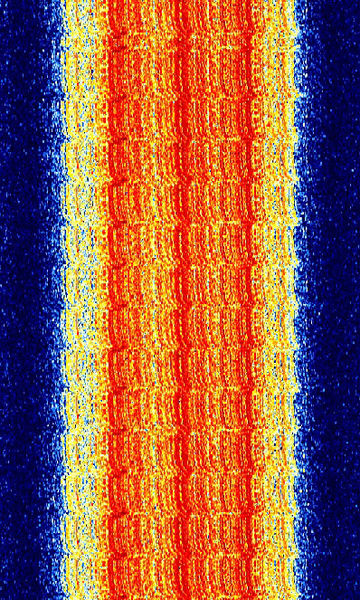 File:EDACS 96k.jpg