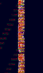 CHX200.jpg